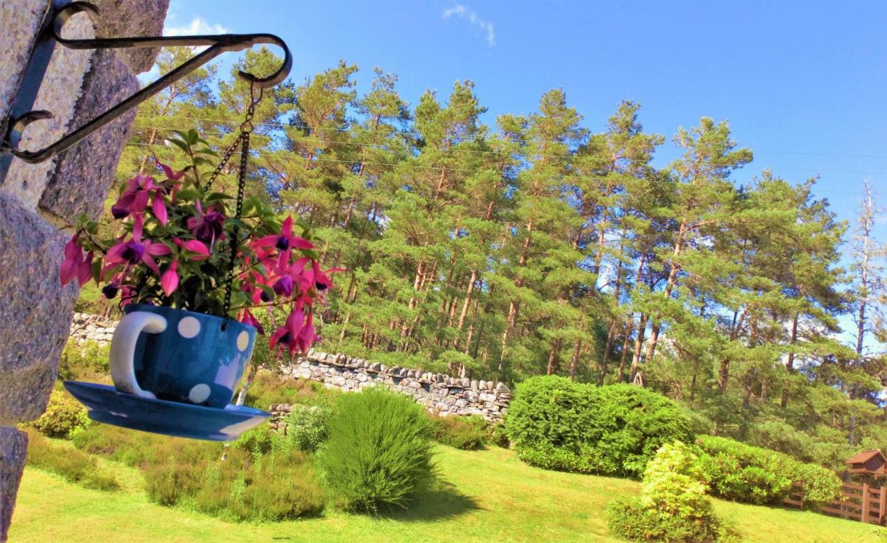 Dalchreichart Serendipity Bed And Breakfast المظهر الخارجي الصورة